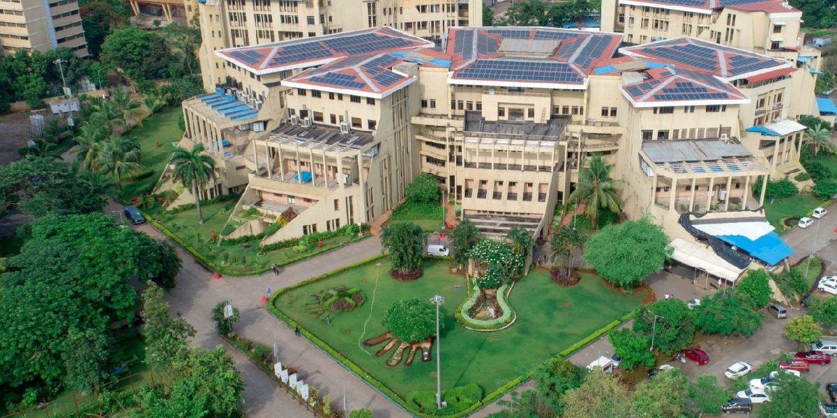 DY Patil University