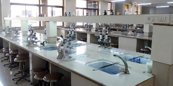 DY Patil University